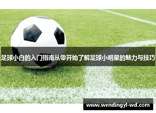 足球小白的入门指南从零开始了解足球小明星的魅力与技巧